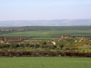Volubilis - 13 IMG_6423