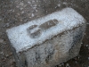 Volubilis - 8