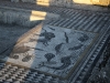 Volubilis - 5