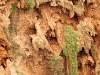 Waterfalls: Cascades Ouzoud - 3 150527_8